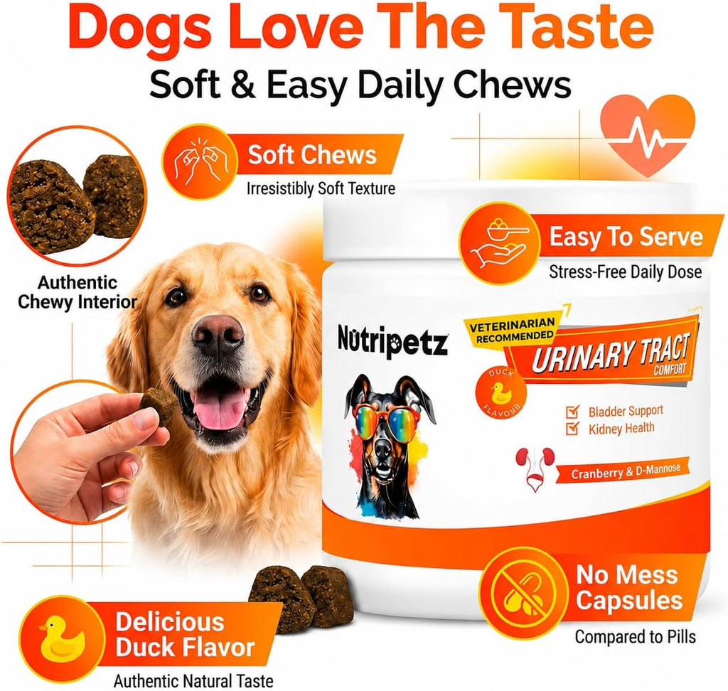120 Cranberry Supplement for Dogs - Bladder Control for Dogs - Urinary Tract Support - Vitamin B6 & L-Arginine - Cranberry Chews with D-Mannose - Immune & Gut Support