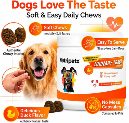 120 Cranberry Supplement for Dogs - Bladder Control for Dogs - Urinary Tract Support - Vitamin B6 & L-Arginine - Cranberry Chews with D-Mannose - Immune & Gut Support