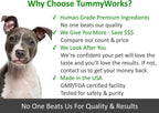 TummyWorks Probióticos para Perros - 120 Masticables Suaves para la Salud Digestiva, Intestinal, Inmunidad, Energía, Alergias, Piel y Pelaje - 10 Cepas, 5 mil millones de UFC con 6 Enzimas