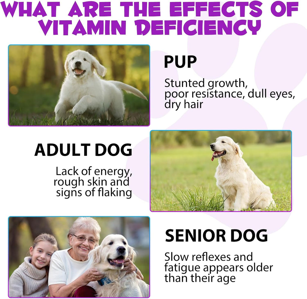 Multivitamínico Líquido 15 en 1 para Perros – Apoyo Articular, Piel y Digestión (60 ml)