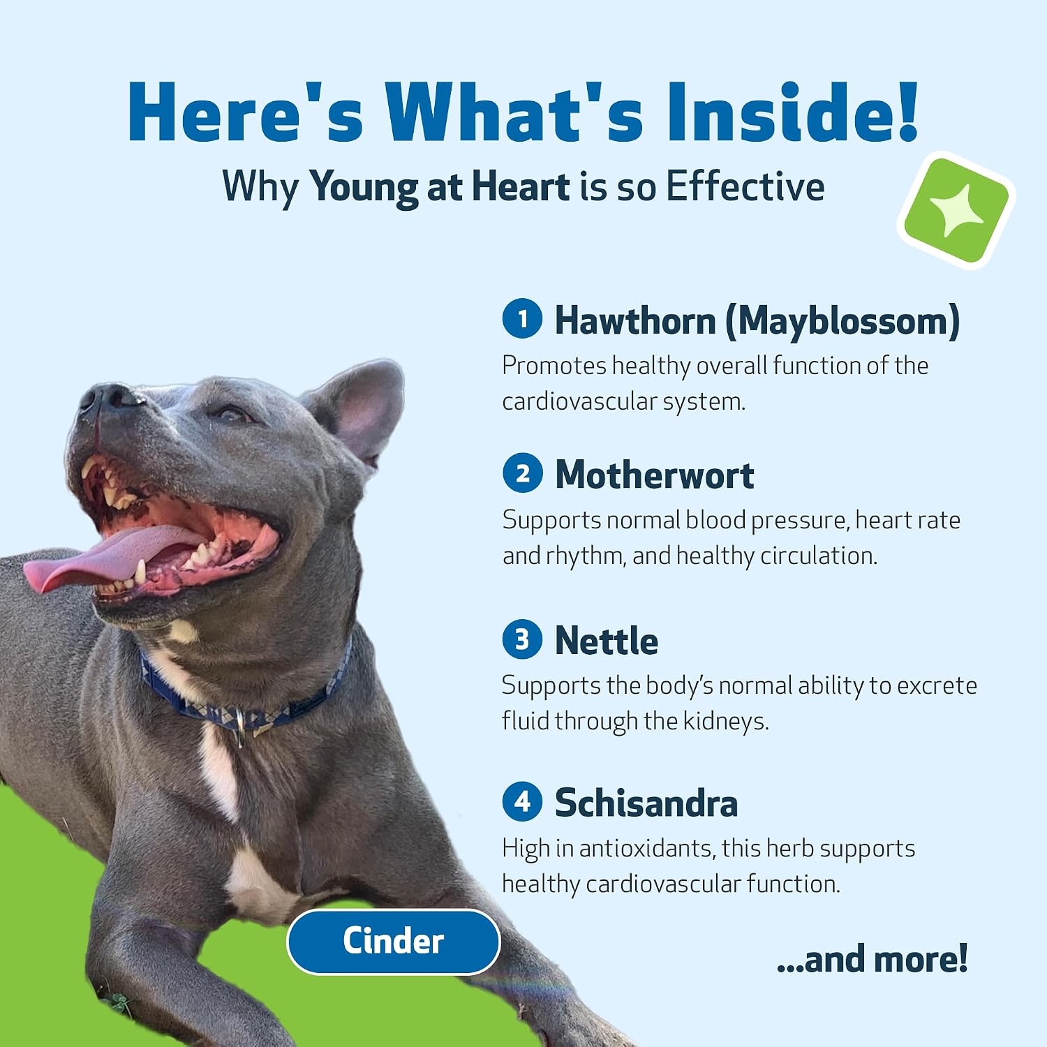 Pet Wellbeing Young at Heart for Perros – Apoyo Cardiovascular Senior – 118 ml (4 oz)