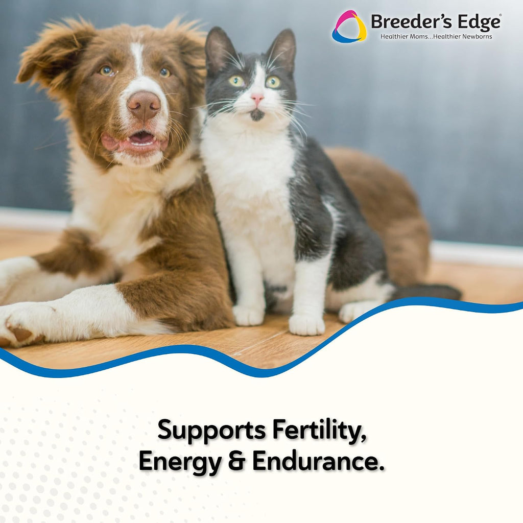 Breeder’s Edge Oxy Stud Multivitamínico para Perros y Gatos Pequeños (60 chews)