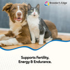Breeder’s Edge Oxy Stud Multivitamínico para Perros y Gatos Pequeños (60 chews)