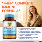 Terranics Vitamin C con Elderberry y Zinc, con Vitamina D3, A, B6, B12, Folato, Escaramujo, Bioflavonoides Cítricos, Cúrcuma, Equinácea, 14-en-1 Apoyo Inmunológico Diario, 90 Comprimidos