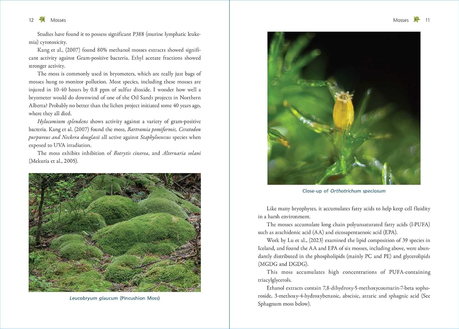Moss Medicine: Indigenous Wisdom and Modern Pharmacology