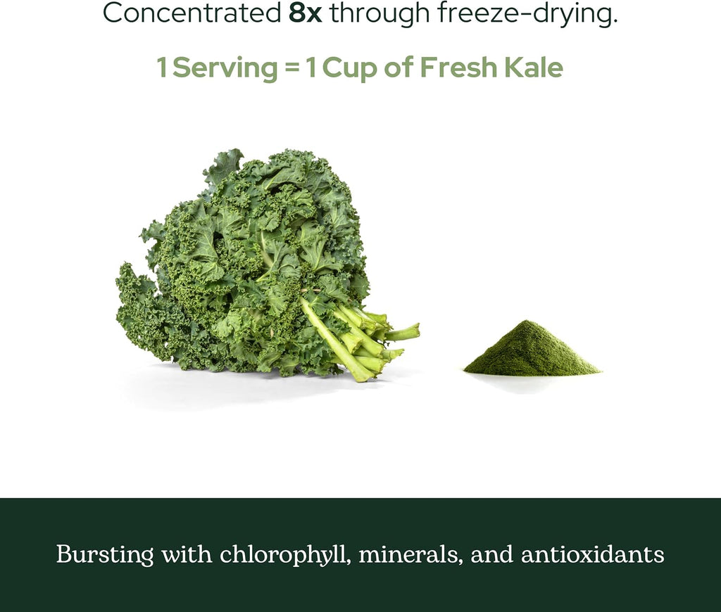 Eclectic Herb - Kale en polvo ecológico, superalimento verde con vitaminas y minerales, 90 g