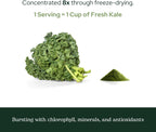 Eclectic Herb - Kale en polvo ecológico, superalimento verde con vitaminas y minerales, 90 g