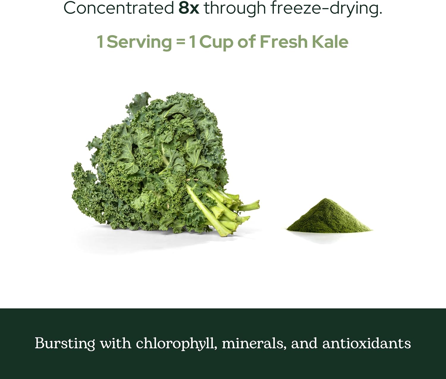 Eclectic Herb - Kale en polvo ecológico, superalimento verde con vitaminas y minerales, 90 g