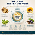 Berberine Phytosome con Berbevis, 550mg - 120 Cápsulas Vegetarianas