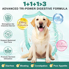 Probióticos para Perros con Enzimas Digestivas, Prebióticos, Omega-3 y 6 y Vitaminas - 180 Masticables Liofilizados - 6 mil millones de UFC - ZEBORA