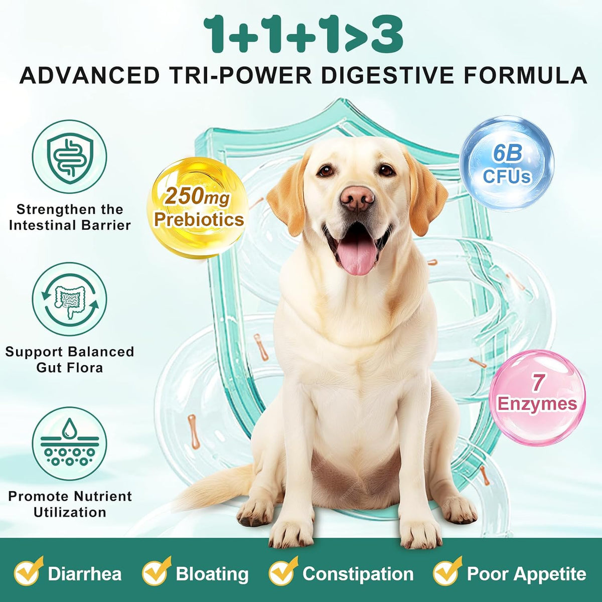Probióticos para Perros con Enzimas Digestivas, Prebióticos, Omega-3 y 6 y Vitaminas - 180 Masticables Liofilizados - 6 mil – Image 3
