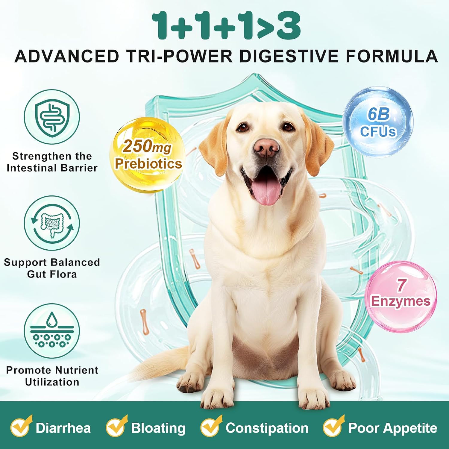 Probióticos para Perros con Enzimas Digestivas, Prebióticos, Omega-3 y 6 y Vitaminas - 180 Masticables Liofilizados - 6 mil millones de UFC - ZEBORA