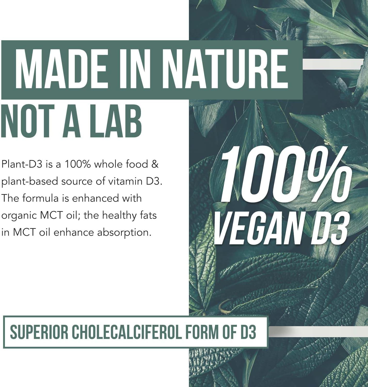Plant-D3 Vitamina D3 Orgánica 5000 UI - Gotas Sublinguales Veganas