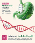 Logos Nutritionals Vitamina B12 Masticable 1000 mcg con Metilcobalamina, Sabor a Cereza - 100 Comprimidos