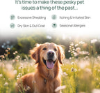 pawTree Aceite de Salmón para Perros y Gatos - Suplemento de Omega 3 y 6
