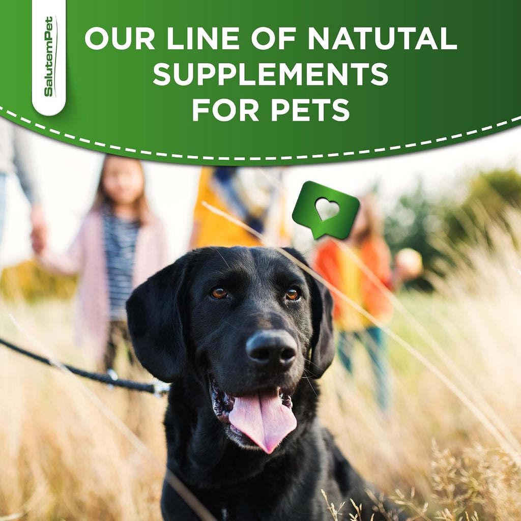 Forte Health Suplemento Herbal para Perros y Gatos - Sabor a Pollo - 60 ml