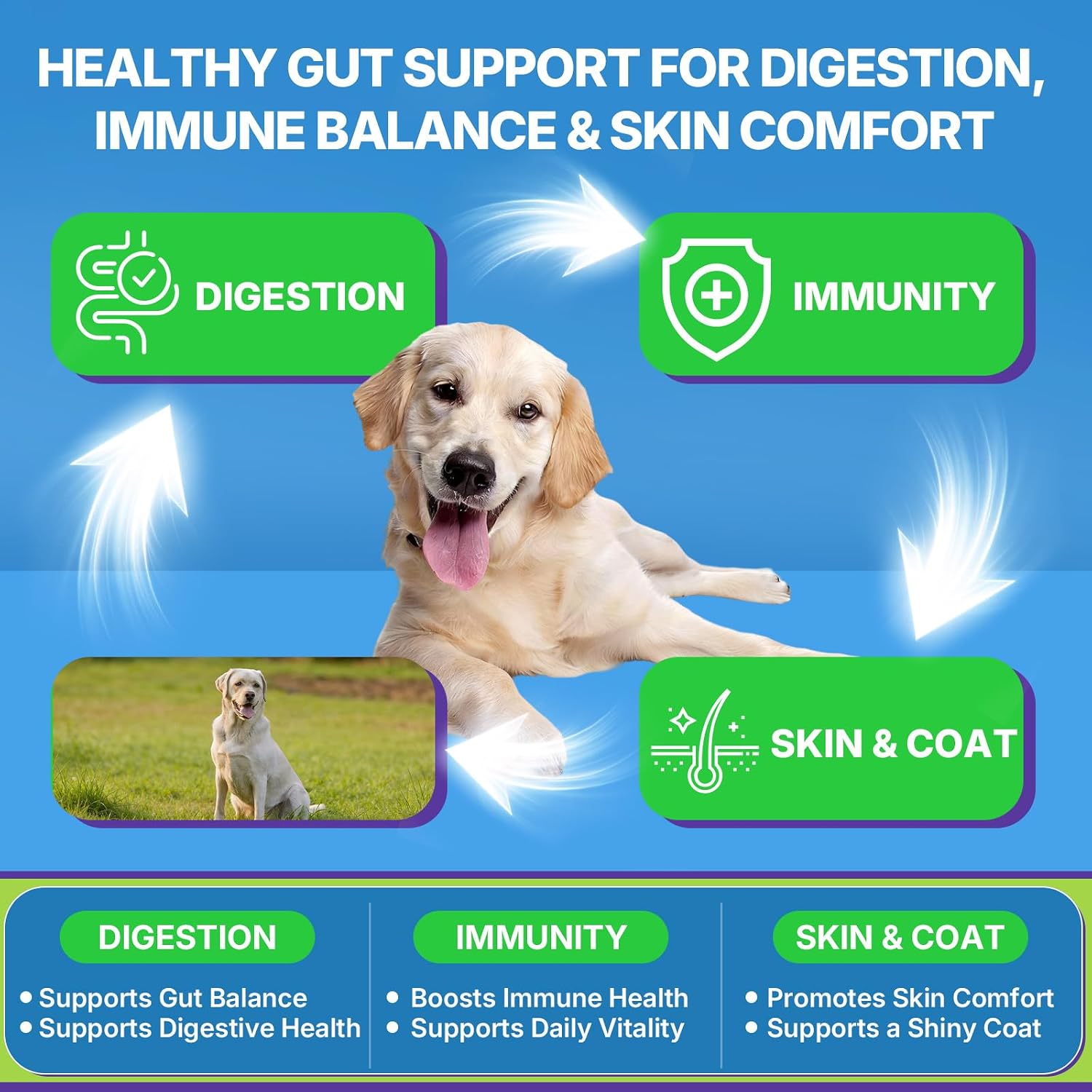 Probióticos para Perros WEALLIN - 200 Masticables para Salud Digestiva y Piel