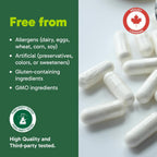 Organika L-Teanina 225 mg – 90 cápsulas