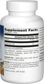 Planetary Herbals Nopal Cactus (Higo Chumbo) 1000 mg - 120 Comprimidos