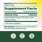 MegaFood Berberine Phytosome - 550 mg por Cápsula, 1100 mg Diarios - 9x Absorción - Apoya el Metabolismo Saludable y Niveles de Colesterol - Vegano - 60 Cápsulas