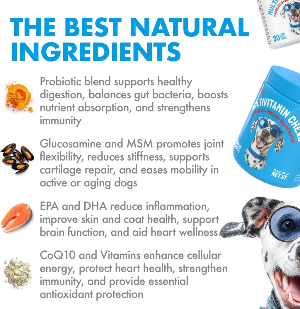 LEGITPET Multivitaminas para Perros - 30 Masticables con Glucosamina, Condroitina, Probióticos y Omega-3