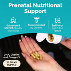 Conceive Plus Vitaminas Prenatales con Ácido Fólico, DHA y Colina - 60 Cápsulas Veganas