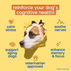 Happy Paws Cognitive Taurine Supplement for Dogs - Soft Chews con Espirulina, CoQ10 y Vitaminas B