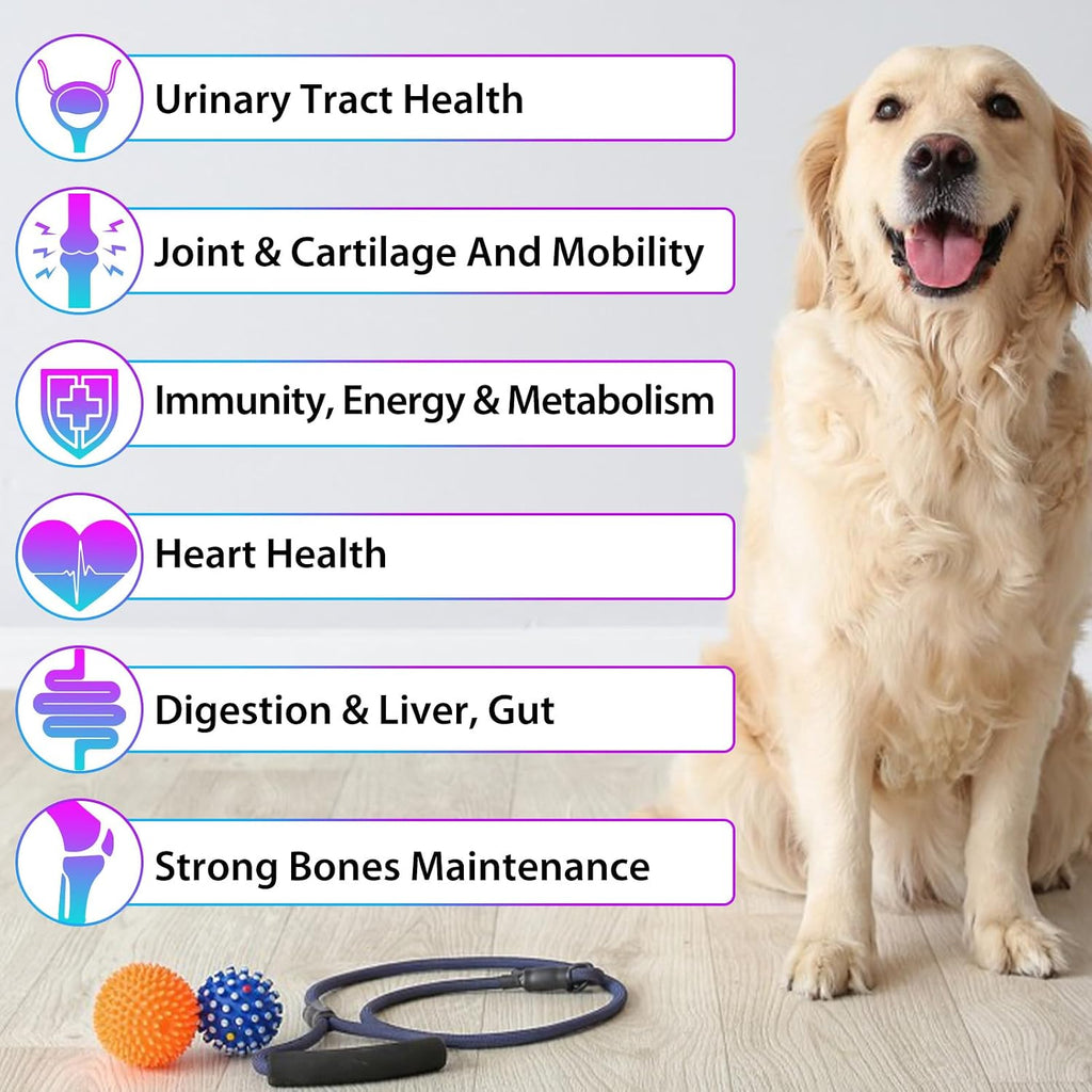 15 en 1 Multivitamínico Líquido para Perros – Todo en Uno – 60 ml