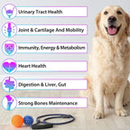 15 en 1 Multivitamínico Líquido para Perros – Todo en Uno – 60 ml