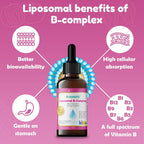 Nuvamin – Gotas Liposomales de Complejo B para Niños, Bebés y Adultos, 60 ml (2 Fl.Oz), Sabor Frambuesa