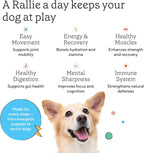 Rallie Agua Hidrogenada Sabor Carne para Perros con Electrolitos, Glucosamina y Vitaminas B - Paquete de 6 Botellas de 500ml