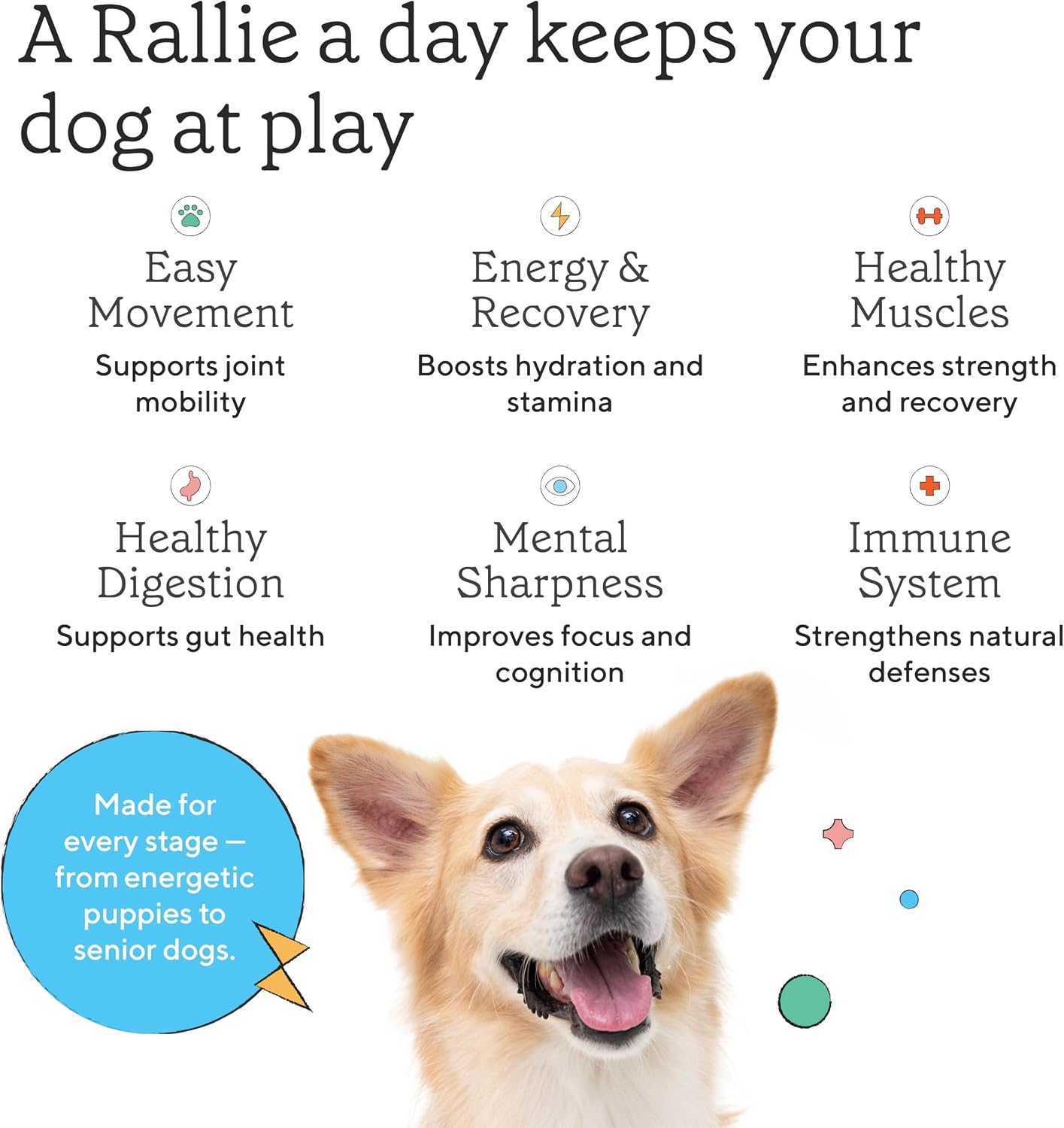 Rallie Agua Hidrogenada Sabor Carne para Perros con Electrolitos, Glucosamina y Vitaminas B - Paquete de 6 Botellas de 500ml