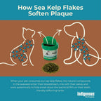 Indigenous Pet Organic Sea Kelp Flakes for Dogs – 72 g (2.54 oz)