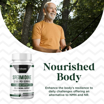 Probase Nutrition Spermidina (10mg de – Protección del ADN: Se ha observado que la espermidina ayuda a proteger la – Image 6