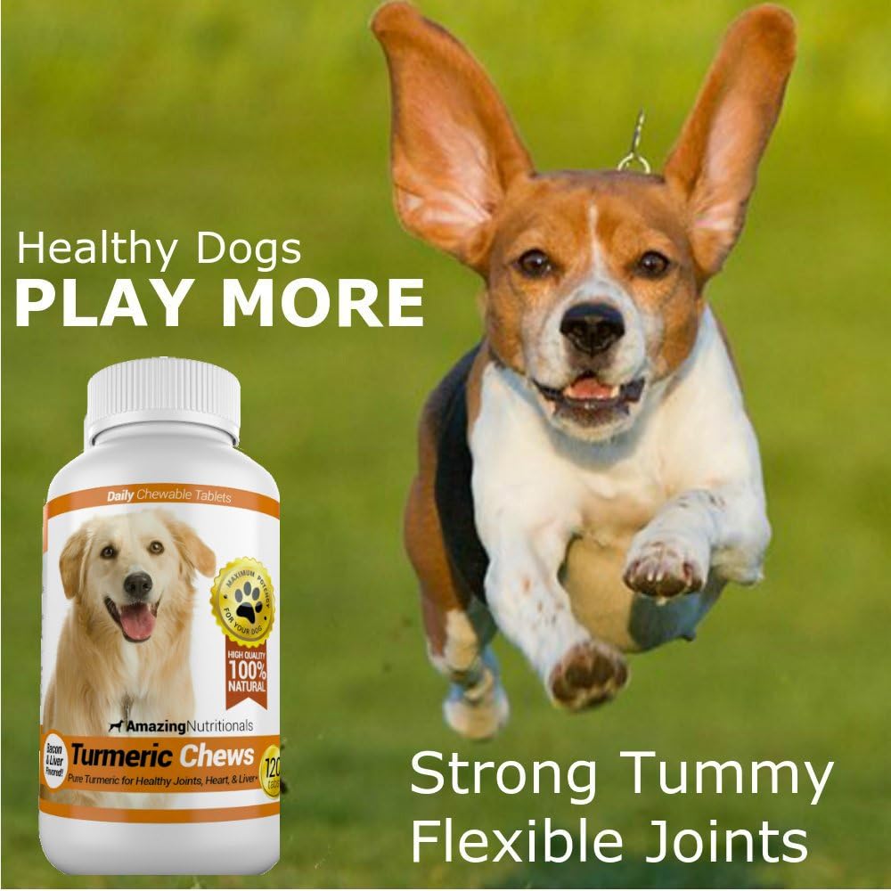 Amazing Turmeric for Dogs - Cúrcuma con Curcumina para Perros - 120 Masticables Antioxidantes