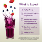 ANDREW LESSMAN Efficient C Mixed Berry 90 Sobres