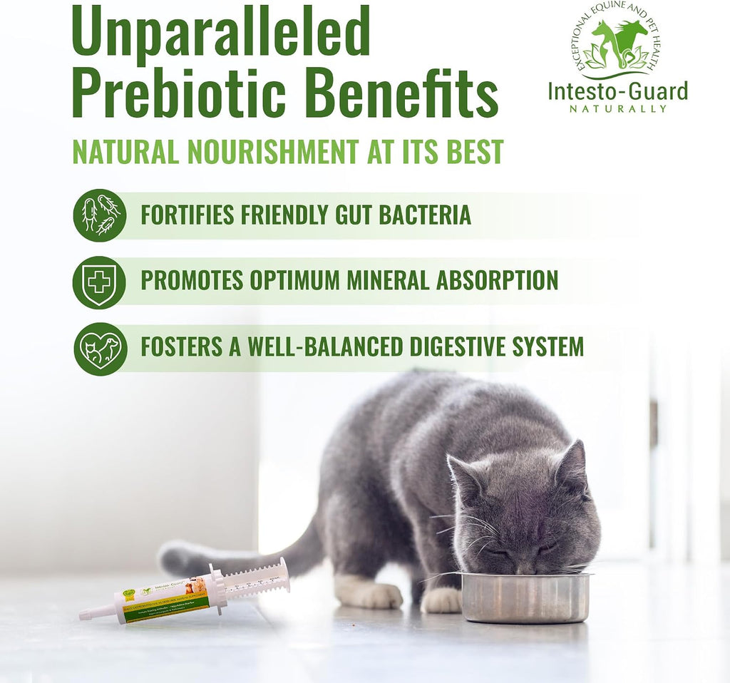 Probiotics Paste for Dogs Prebiotic for Canine, Gut Support, & Immune Boost, All Natural with 1 Billion per ML Includes (MOS)+ Beta Glucans + D-Mannose, No Animal by-Products - 60ML Single Tube