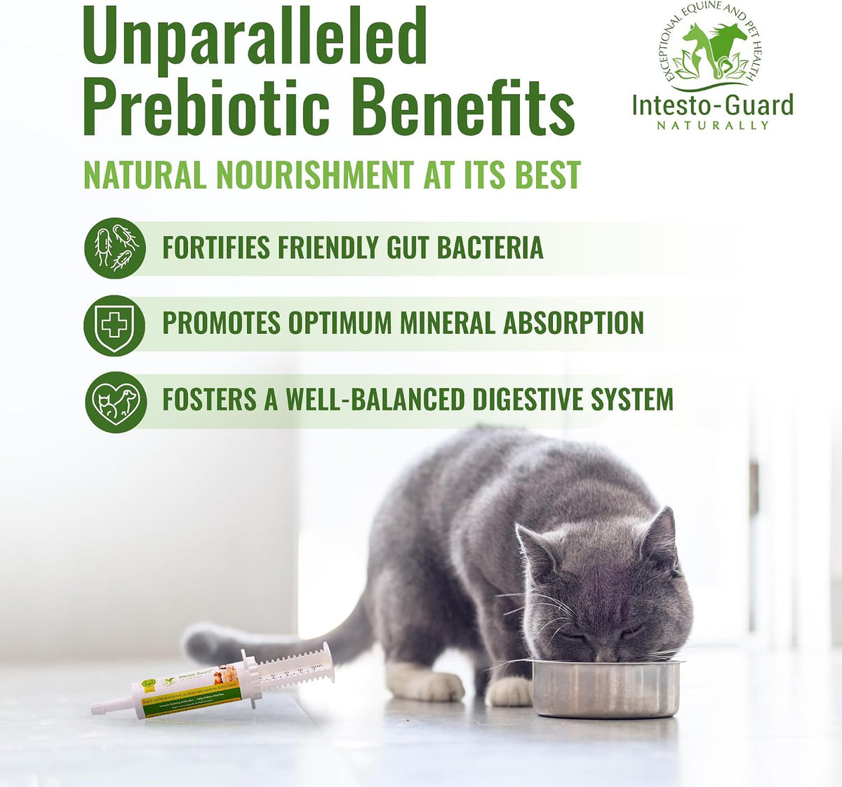 Probiotics Paste for Dogs Prebiotic for Canine, Gut Support, & Immune Boost, All Natural with 1 Billion per ML Includes – Image 3