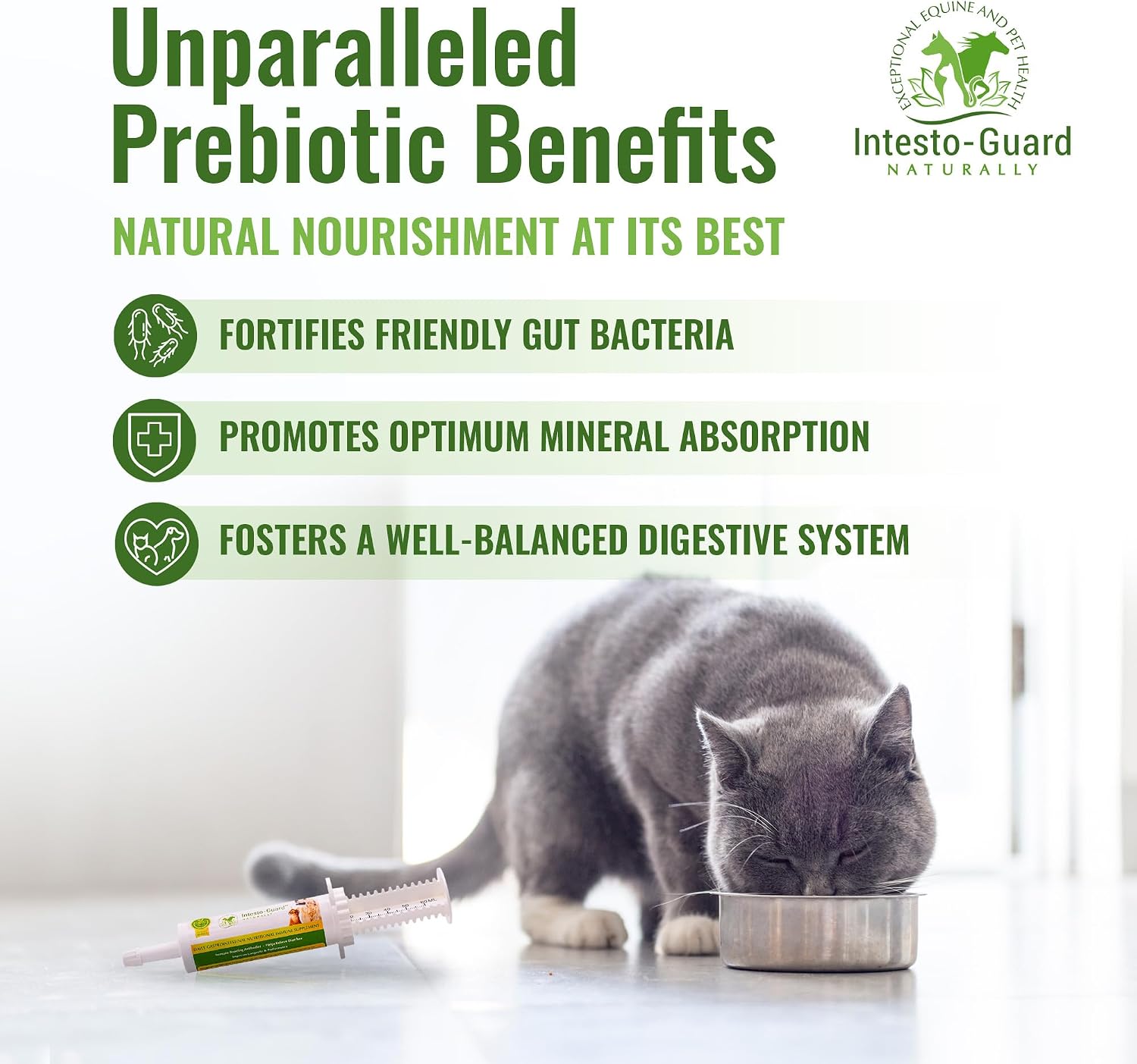 Probiotics Paste for Dogs Prebiotic for Canine, Gut Support, & Immune Boost, All Natural with 1 Billion per ML Includes (MOS)+ Beta Glucans + D-Mannose, No Animal by-Products - 60ML Single Tube