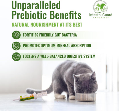 Probiotics Paste for Dogs Prebiotic for Canine, Gut Support, & Immune Boost, All Natural with 1 Billion per ML Includes – Image 3