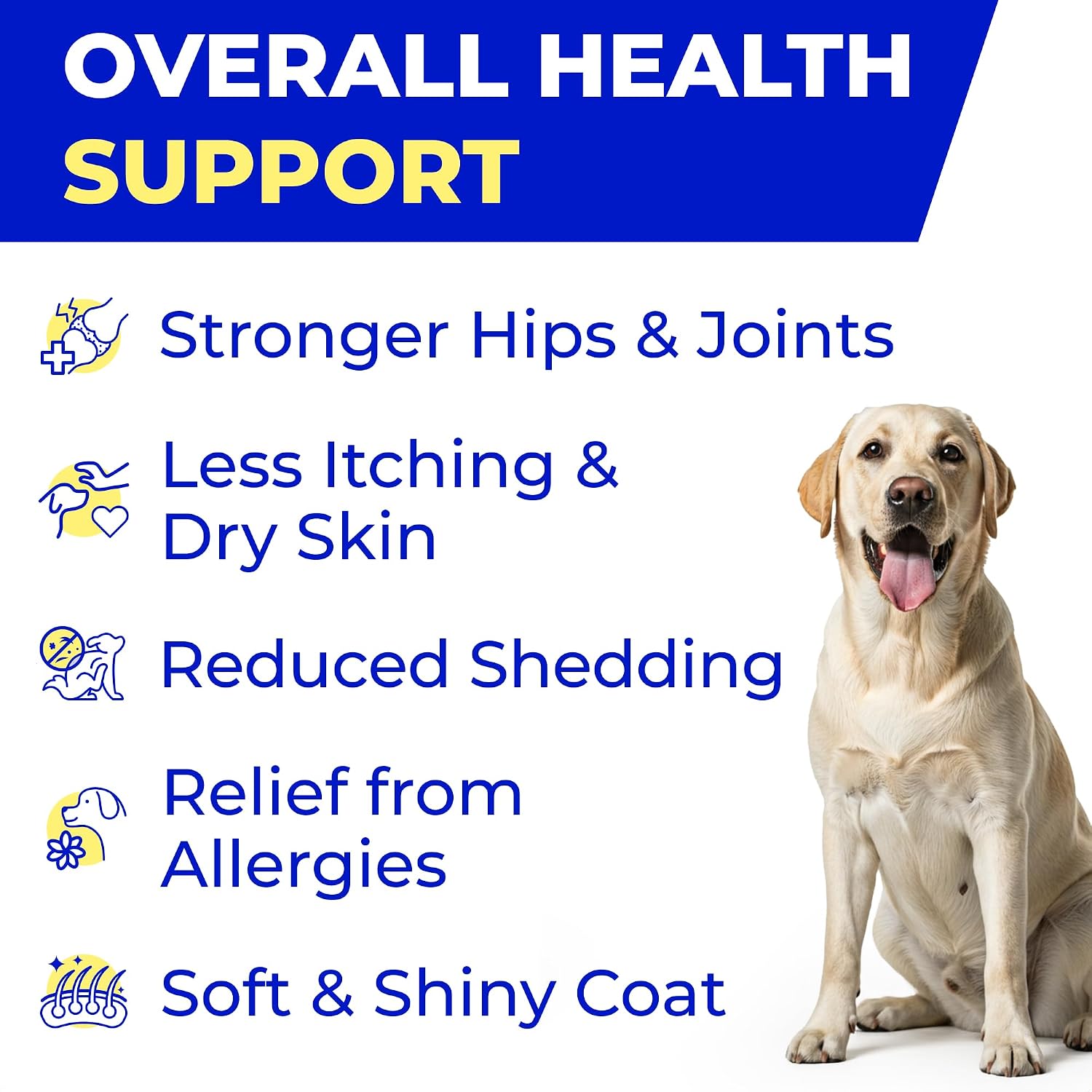 PAWFECTCHEW Aceite de Pescado para Perros - Omega-3 Natural - Apoyo para Piel y Pelaje - Suplemento Líquido con EPA y DHA - 473ml (16oz)