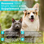 Welsdom Suspensión Herbal de Apoyo Hepático para Perros y Gatos - 30ml