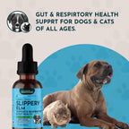 Animal Essentials Slippery Elm - Gotas de Corteza de Olmo Resbaladizo para Perros y Gatos, Extracto Herbario Orgánico para una Digestión Saludable, 30 ml