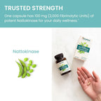 Himalaya NSK-SD Nattokinasa, Suplemento Alimenticio para una Circulación Saludable, Vegano, Sin Gluten, Extracto de Natto, 100 mg, 60 Cápsulas