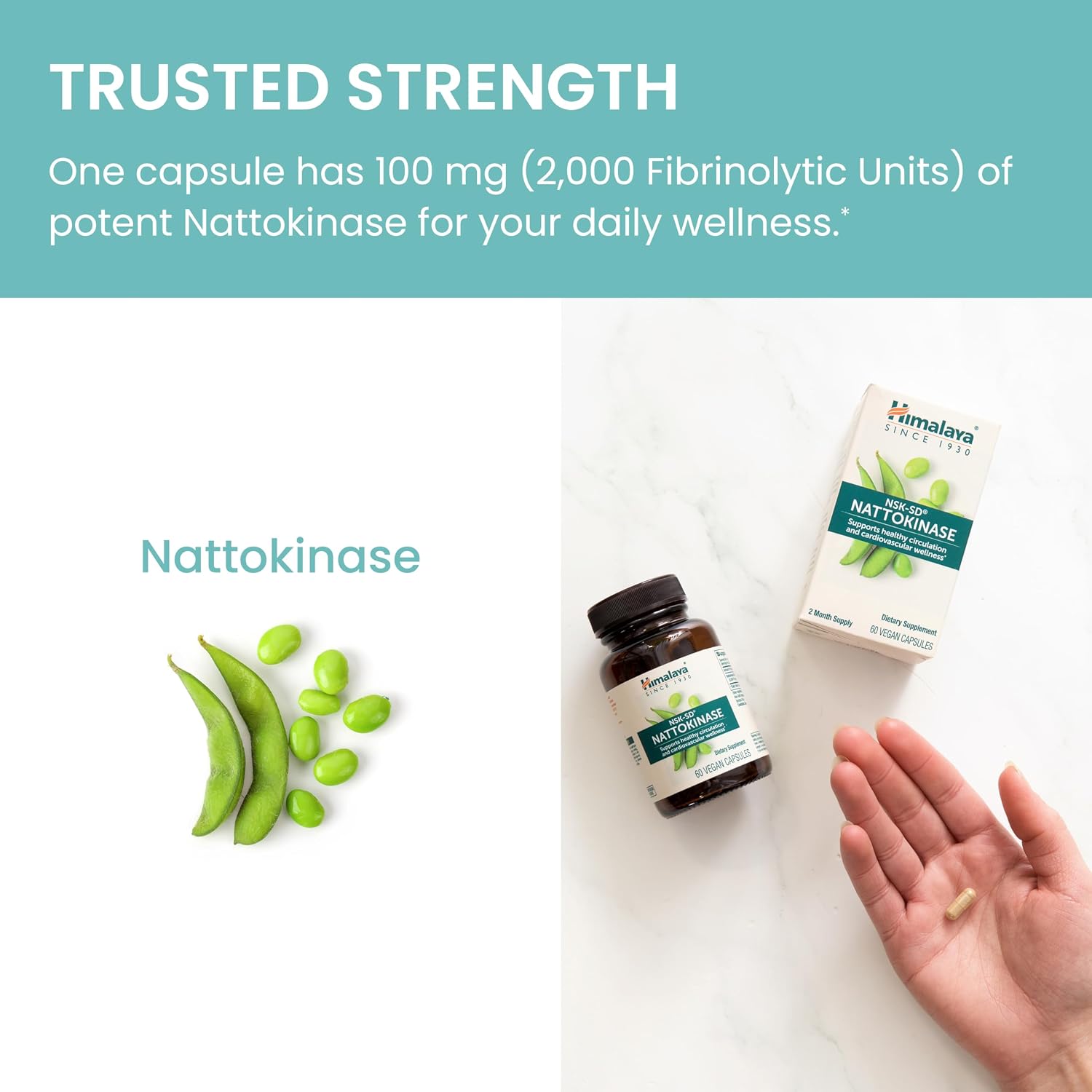 Himalaya NSK-SD Nattokinasa, Suplemento Alimenticio para una Circulación Saludable, Vegano, Sin Gluten, Extracto de Natto, 100 mg, 60 Cápsulas