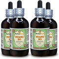 Glicerita de Huang Bo (Phellodendron Chinense) - Extracto Líquido Sin Alcohol, 4x120 ml