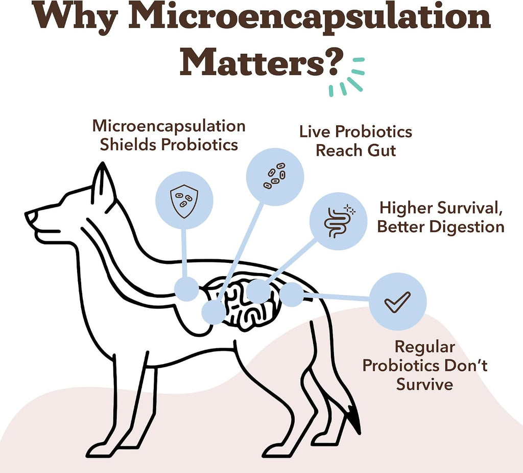 Natural Dog Company Probióticos para Perros – Masticables con 1B UFC, Cepas Microencapsuladas, Prebióticos y Enzimas para la Salud Digestiva, 45 unidades
