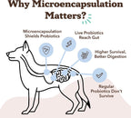 Natural Dog Company Probióticos para Perros – Masticables con 1B UFC, Cepas Microencapsuladas, Prebióticos y Enzimas para la Salud Digestiva, 45 unidades