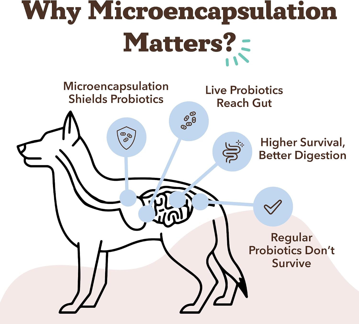 Natural Dog Company Probióticos para Perros – Masticables con 1B UFC, Cepas Microencapsuladas, Prebióticos y Enzimas para la Salud Digestiva, 45 unidades