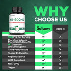 Satoomi NAD Supplement with Liposomal Nicotinamide Riboside - Cellular Energy & Vitality - 60 Capsules (30 Days)